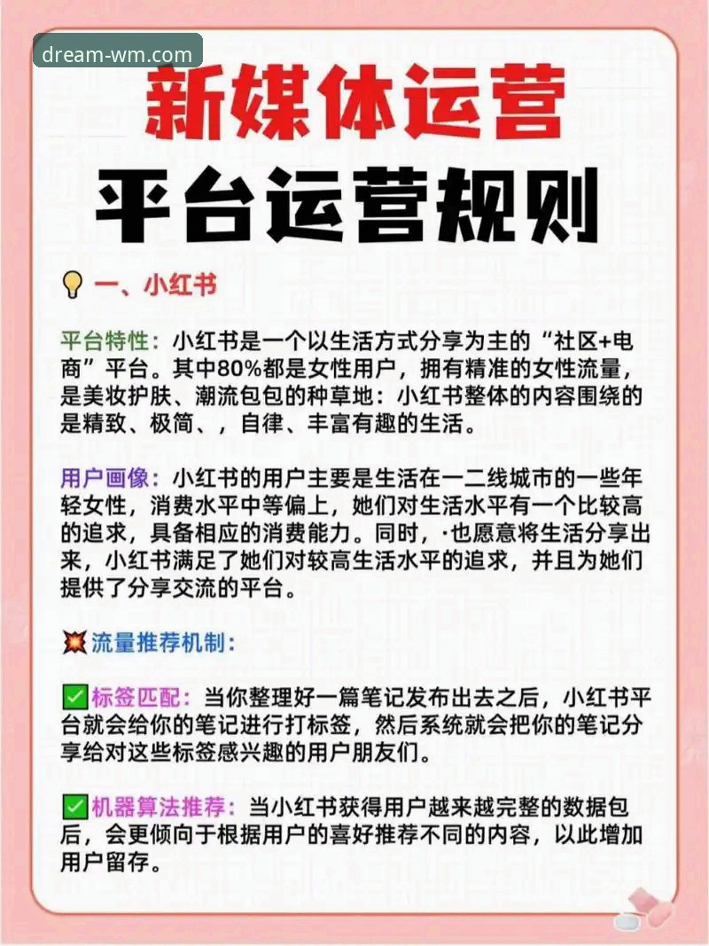 一站式娱乐服务实用指南：完美体育平台玩法与必备知识