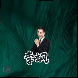 李飒